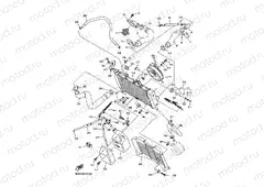 RADIATOR & HOSE