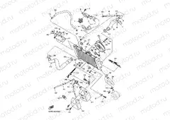 RADIATOR & HOSE