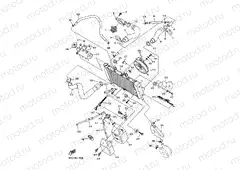RADIATOR & HOSE