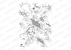 RADIATOR & HOSE