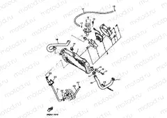 RADIATOR & HOSE