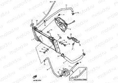 RADIATOR & HOSE