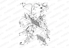 RADIATOR & HOSE