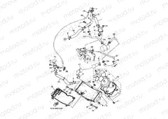RADIATOR & HOSE