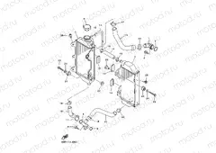 RADIATOR & HOSE