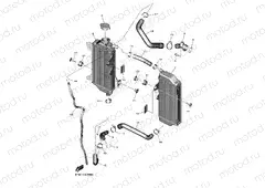 RADIATOR & HOSE