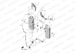 RADIATOR & HOSE