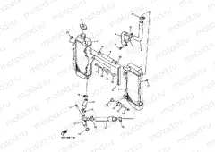 RADIATOR & HOSE