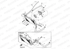 Radiator hose