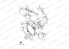 RADIATOR & HOSE