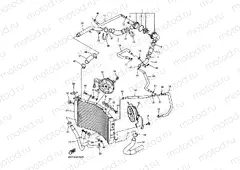 RADIATOR & HOSE