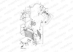 RADIATOR & HOSE