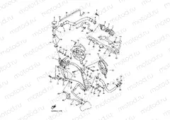RADIATOR & HOSE