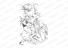 RADIATOR & HOSE