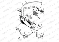RADIATOR & HOSE