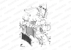 RADIATOR & HOSE