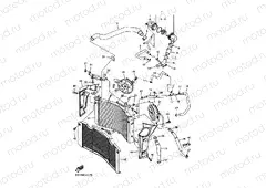RADIATOR & HOSE