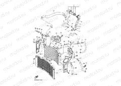 RADIATOR & HOSE