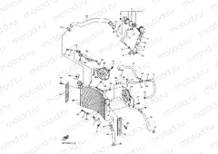 RADIATOR & HOSE