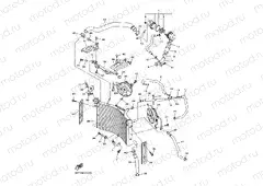 RADIATOR & HOSE