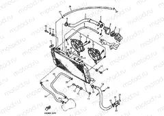 RADIATOR & HOSE