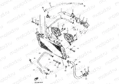 RADIATOR & HOSE