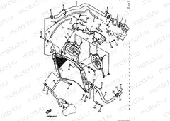 RADIATOR & HOSE