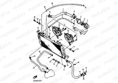 RADIATOR & HOSE