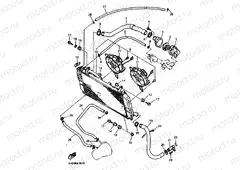 RADIATOR & HOSE
