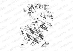 RADIATOR & HOSE