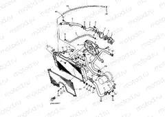 RADIATOR & HOSE