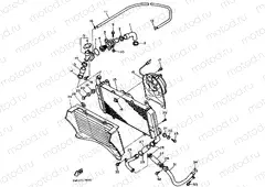 RADIATOR & HOSE