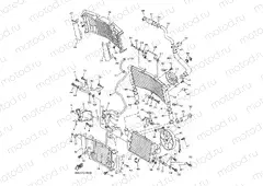 RADIATOR & HOSE
