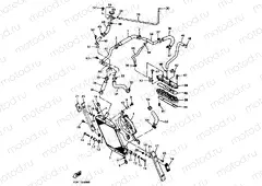 RADIATOR & HOSE