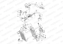 RADIATOR & HOSE