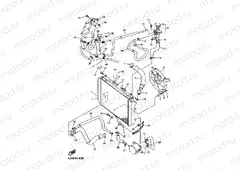 RADIATOR & HOSE