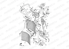 RADIATOR & HOSE