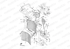 RADIATOR & HOSE