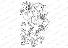 RADIATOR & HOSE