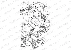 RADIATOR & HOSE