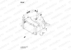 RADIATOR HOSE
