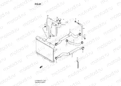 RADIATOR HOSE
