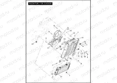 RADIATOR / OIL COOLER