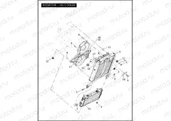 RADIATOR / OIL COOLER
