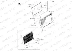 Radiator Screen