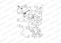 Radiator(LF400AE531714-)