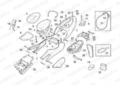 Rear body