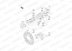 Rear Brake