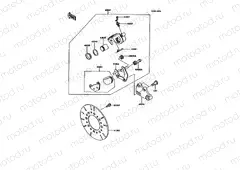 Rear Brake