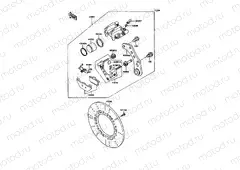 Rear Brake